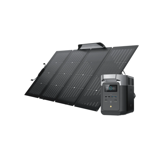 EcoFlow DELTA 2 + 220W Tragbares Solarpanel