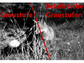 Infrarot Fernglas/digitales Nachtsichtgerät - binokular - bis 300 m Sichtweite - Nachtfernglas - Notfernglas - Notnachtsichtgerät - Notausstattung - Noterkennung